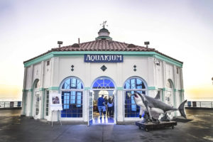 1 Roundhouse Aquarium Joel DSC00026 Final SKECHERS PRESIDENT MICHAEL GREENBERG REVIVES THE ROUNDHOUSE AQUARIUM AT CALIFORNIA’S MANHATTAN BEACH PIER