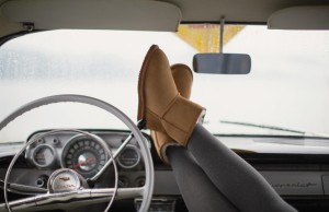 Emu Australia 2 Low Res.jpg 1