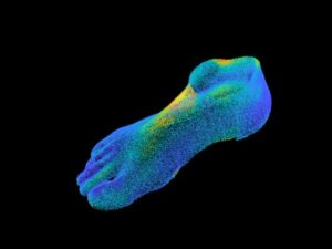 ImprovedDatabaseAnalysisResults Sheffield Start-Up Eradicates Shoe Sizes, while also reducing waste.