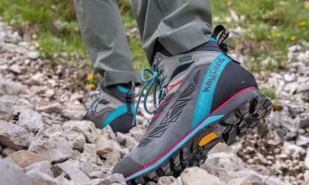 Kayland re-enters the UK market