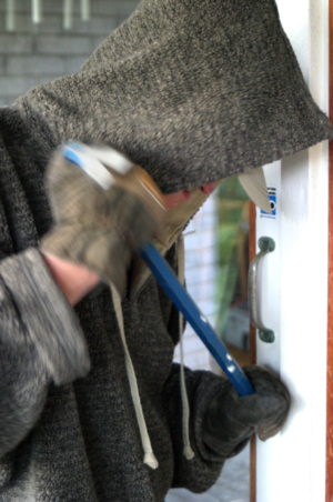 housebreaking-2-1460992-639x962